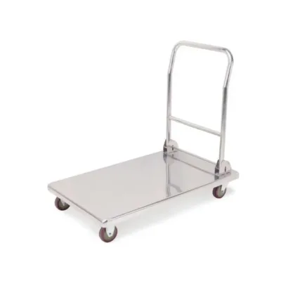 Carro de Transporte