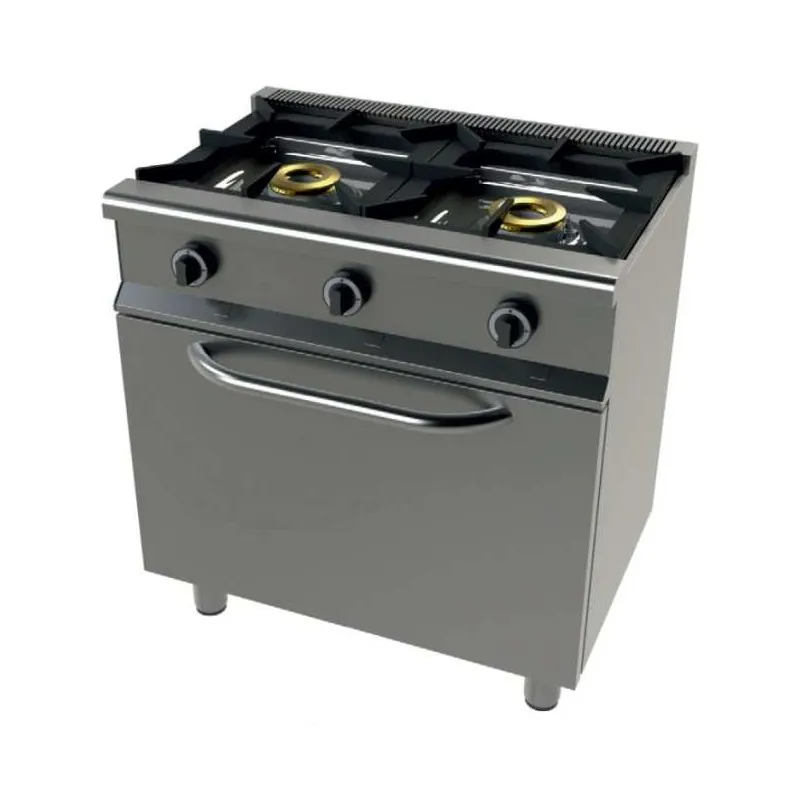 cocina_a_gas_con_horno_gn11_4,5_kw,_2_fuegos_8+8_kw_serie_550_junex_con_medidas_800x550x850h_mm_62011.webp