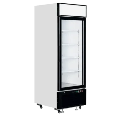 Armario Expositor Refrigeración - 405 Litros