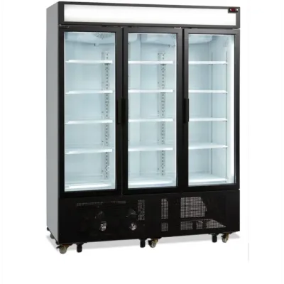 Armario Expositor Refrigerado con Canopy - 1315 Litros