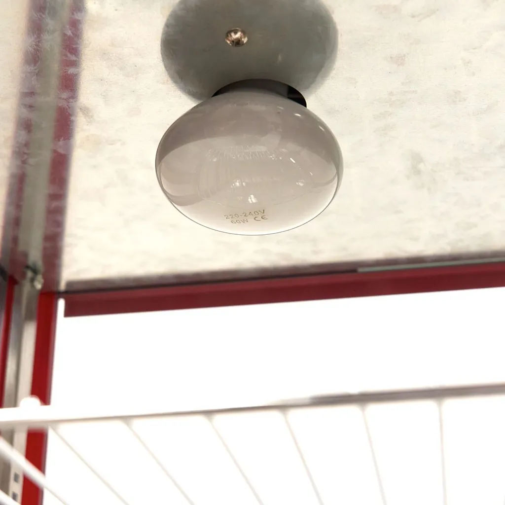 máquina_de_palomitas_-_150gr_-_con_vitrina_de_calentamiento_8.webp